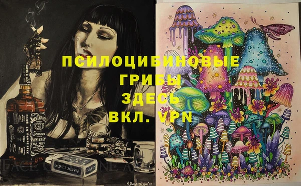 марки lsd Белокуриха