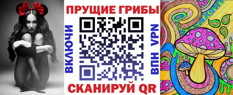 Псилоцибиновые грибы Psilocybe  Луховицы 